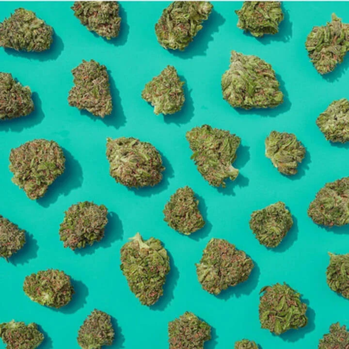 1 Oz Cheap CBD Small Buds - Image 6