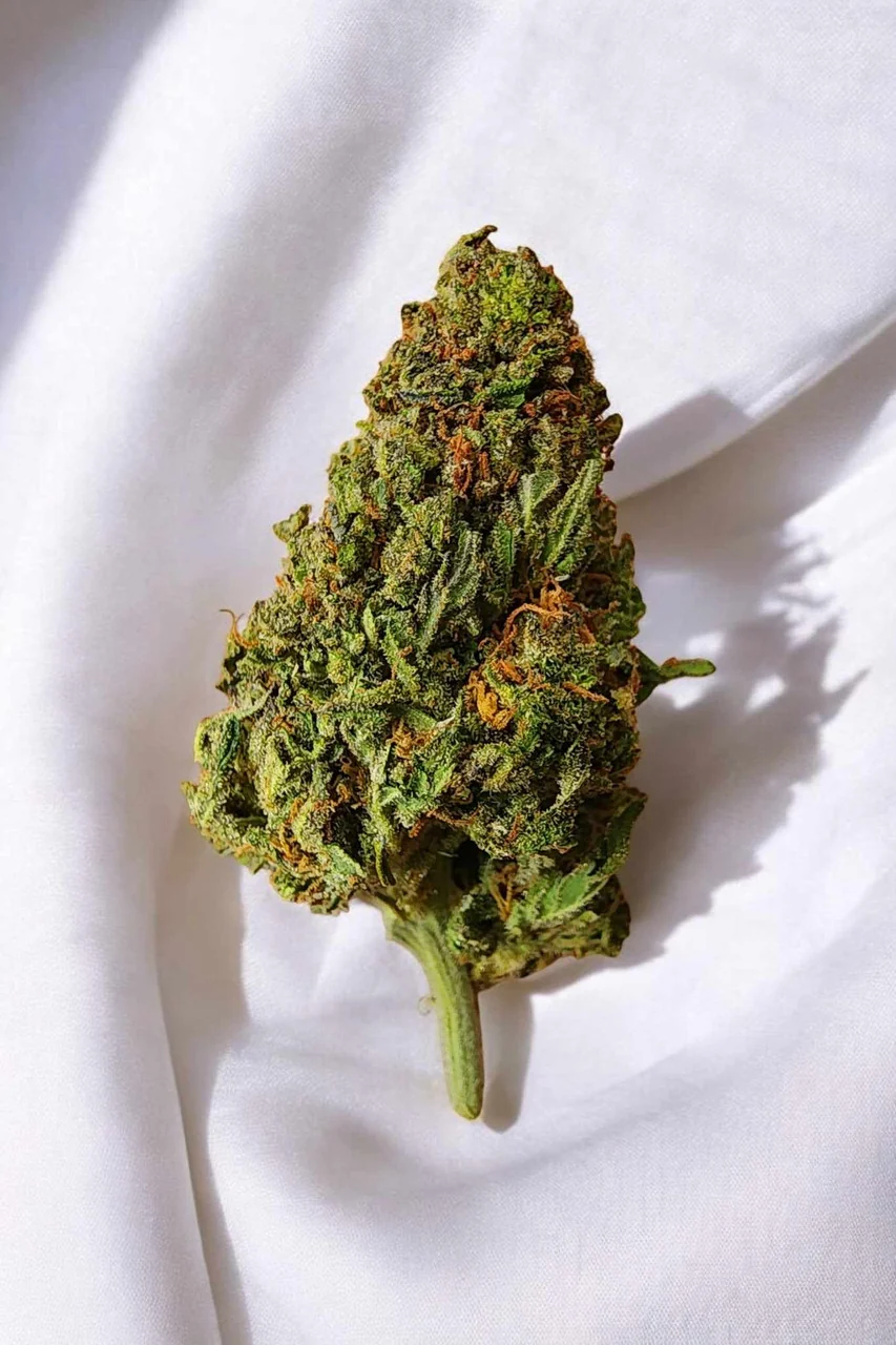 Berry Pie CBD Flower - Image 3