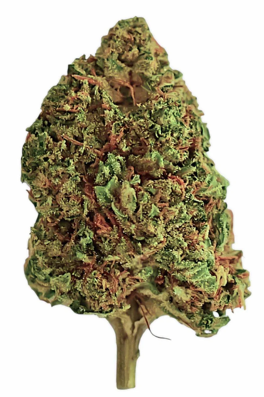 Bubba Kush CBD Flower - Image 4