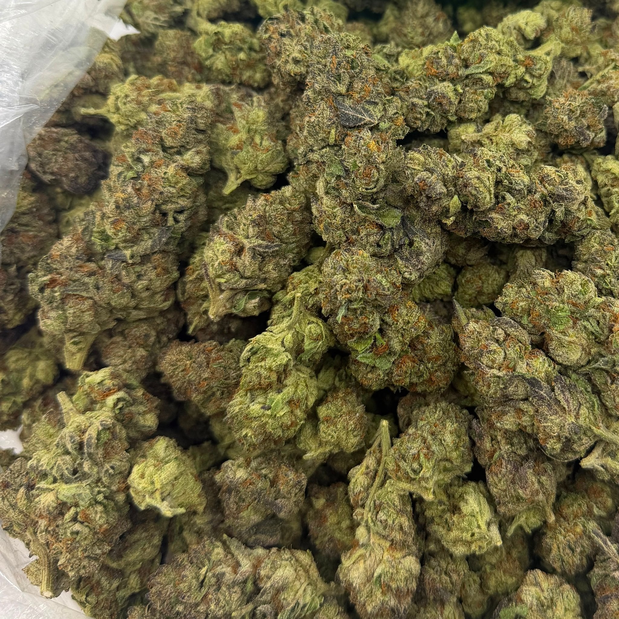 Black Velvet (Light-Assisted) – Bulk THCA Flower 1 lb