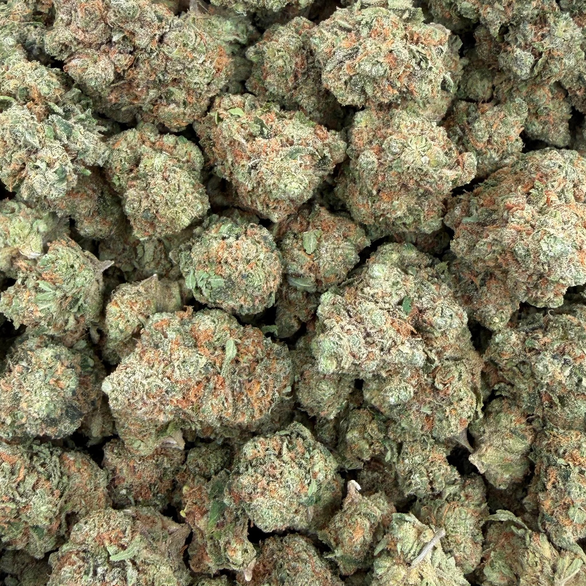 Blue Dream (Value Indoor) – Bulk THCA Flower 1 lb
