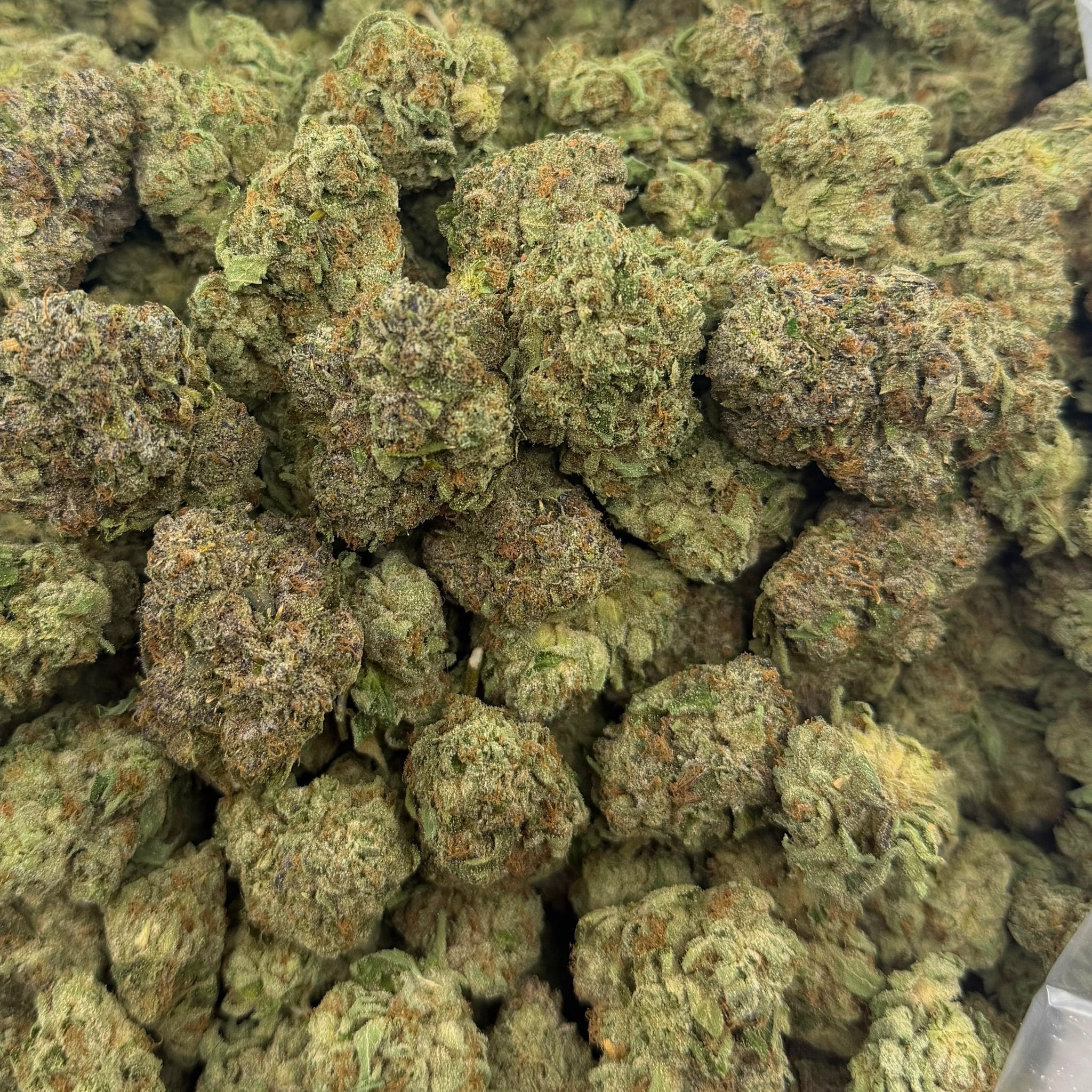 Bolo Runtz (Indoor) – Bulk THCA Flower 1 lb