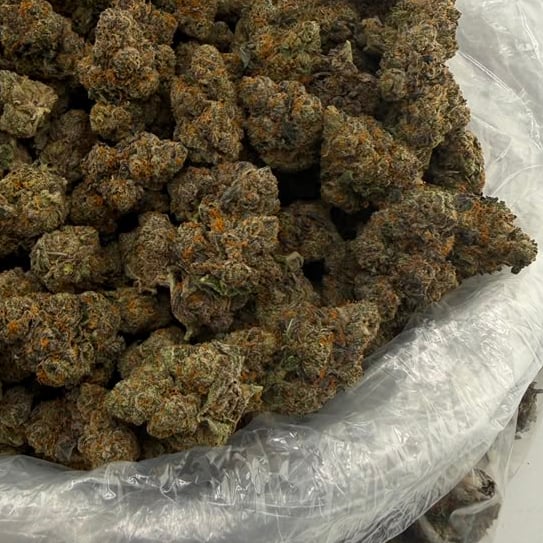 Caviar Gold (Indoor) – Bulk THCA Flower 1 lb