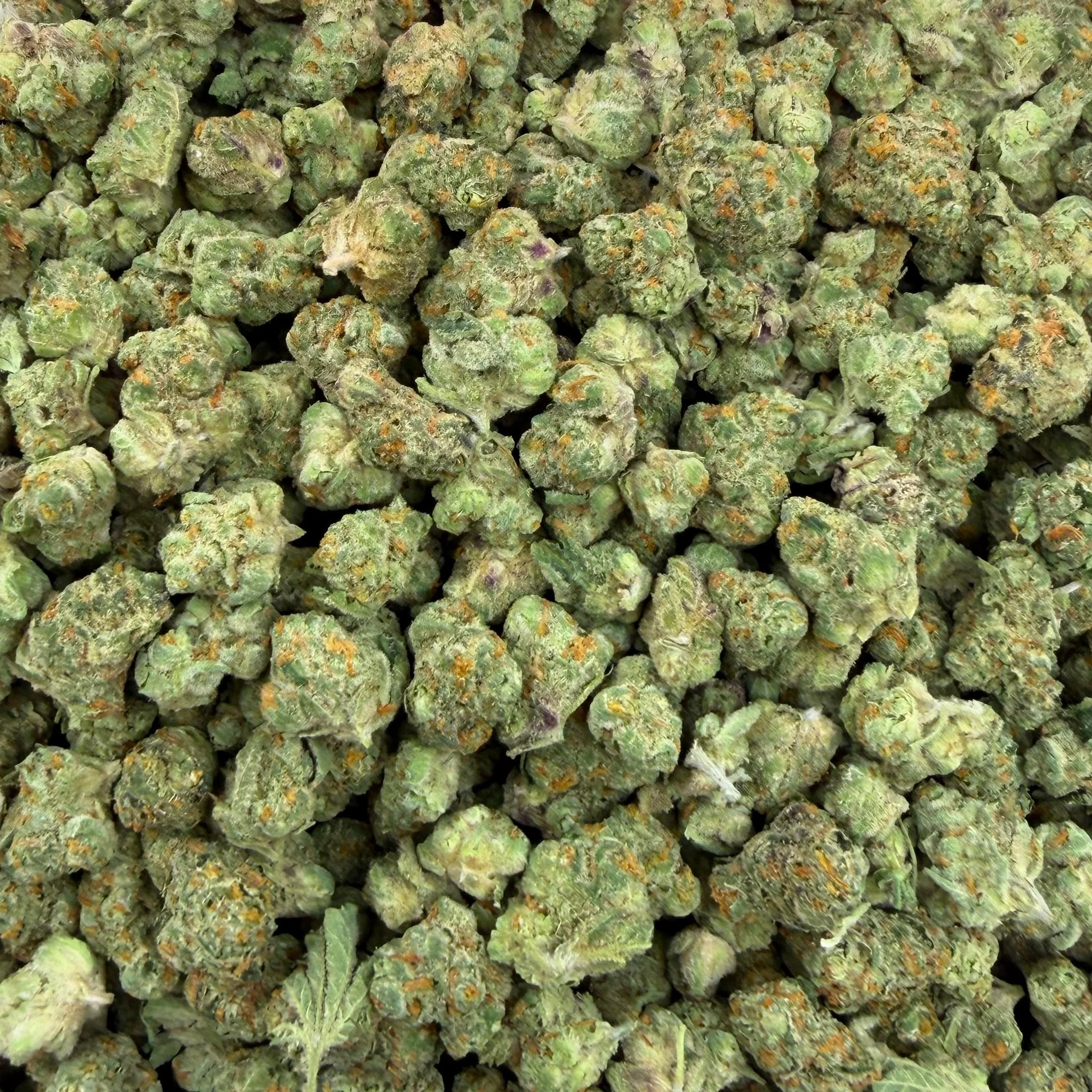 Cheetah Piss (Light-Assisted) – Bulk THCA Flower 1 lb