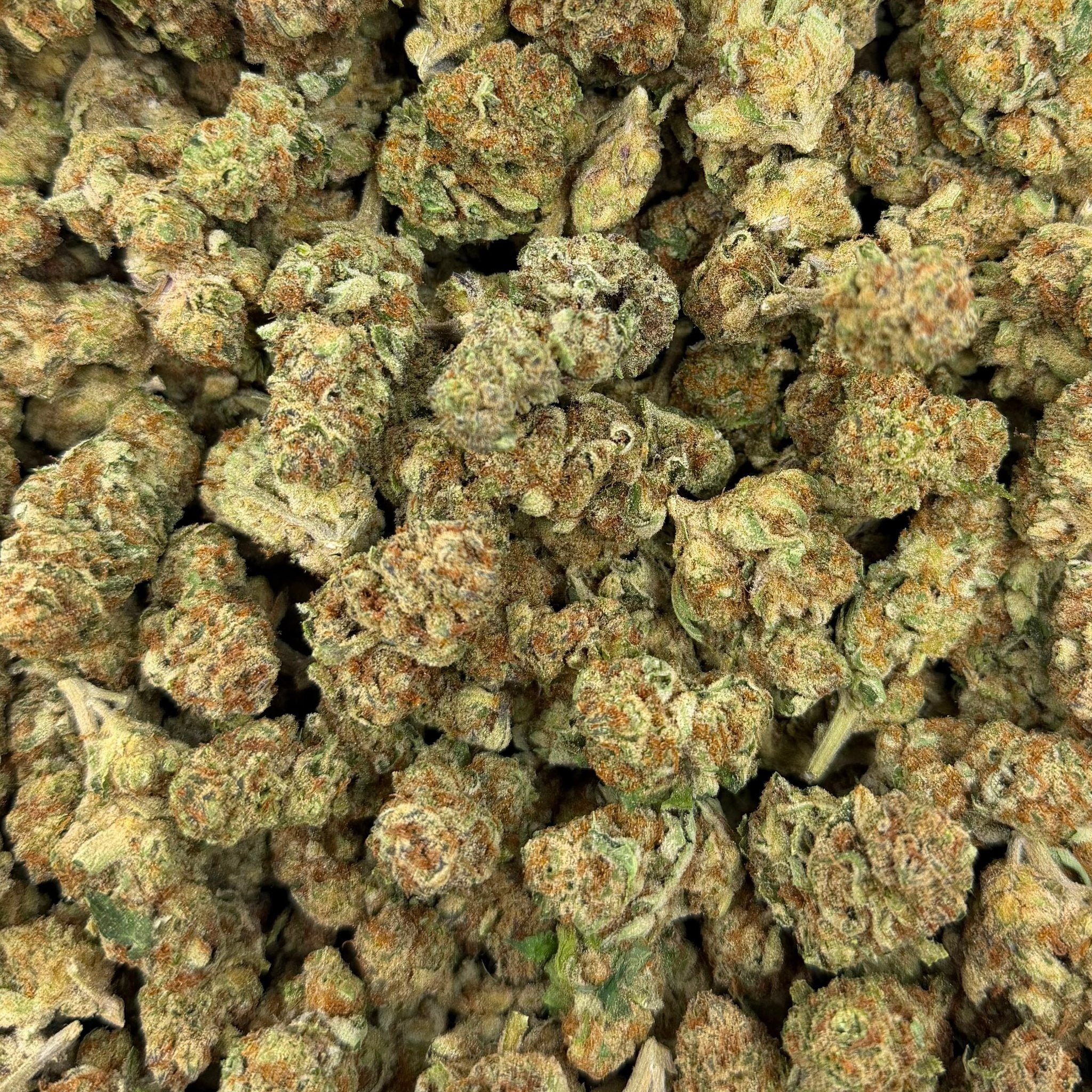 Cherry Kola (Value Indoor) – Bulk THCA Flower 1 lb