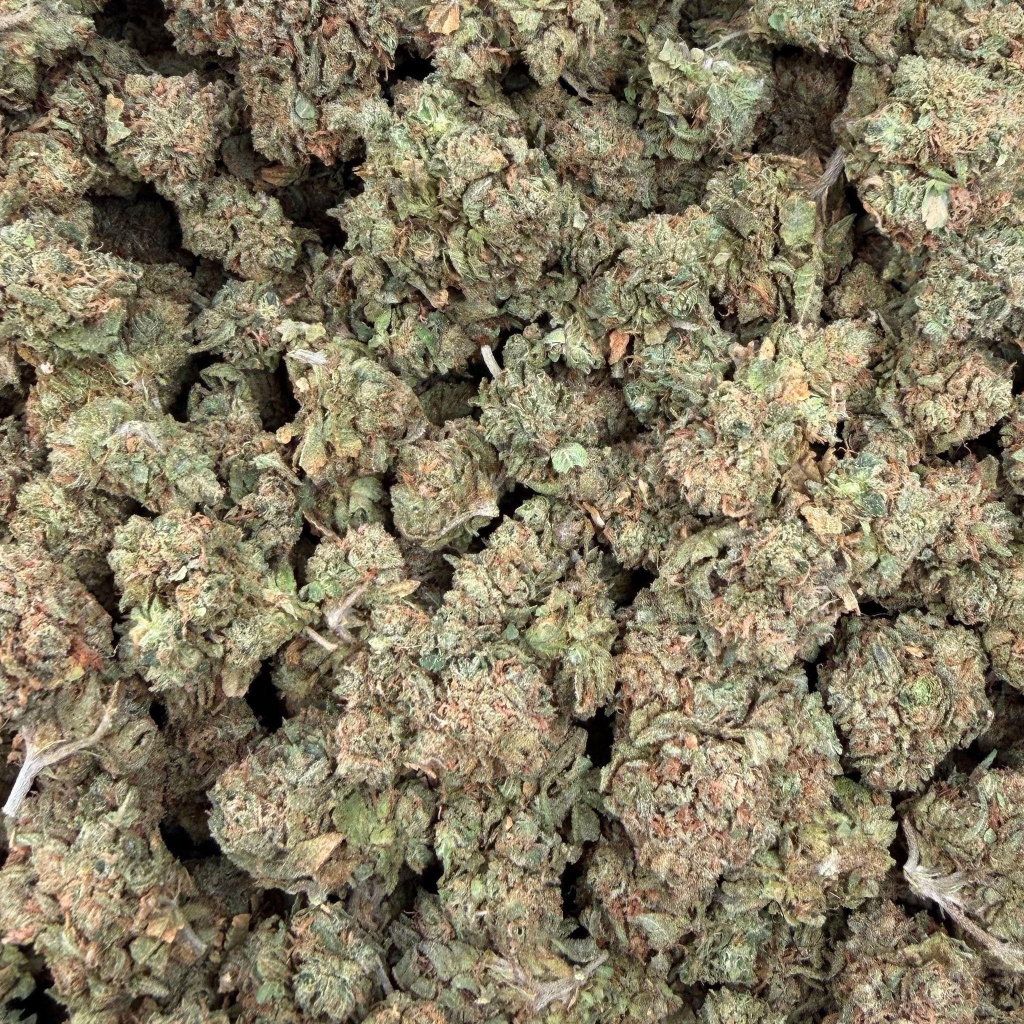 Guayaba (Light-Assisted) – Bulk THCA Flower 1 lb
