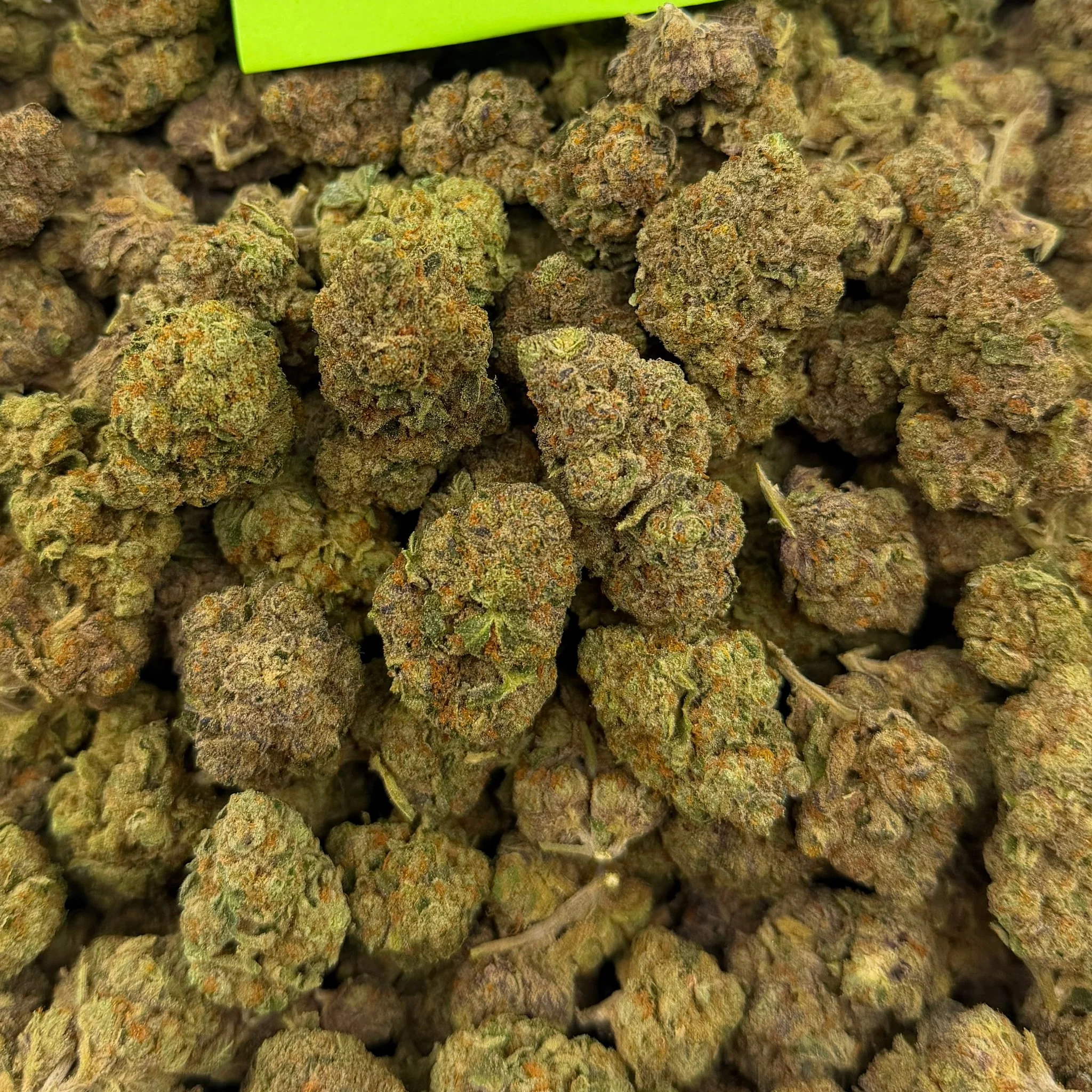 Joker Candy (Value Indoor) – Bulk THCA Flower 1 lb