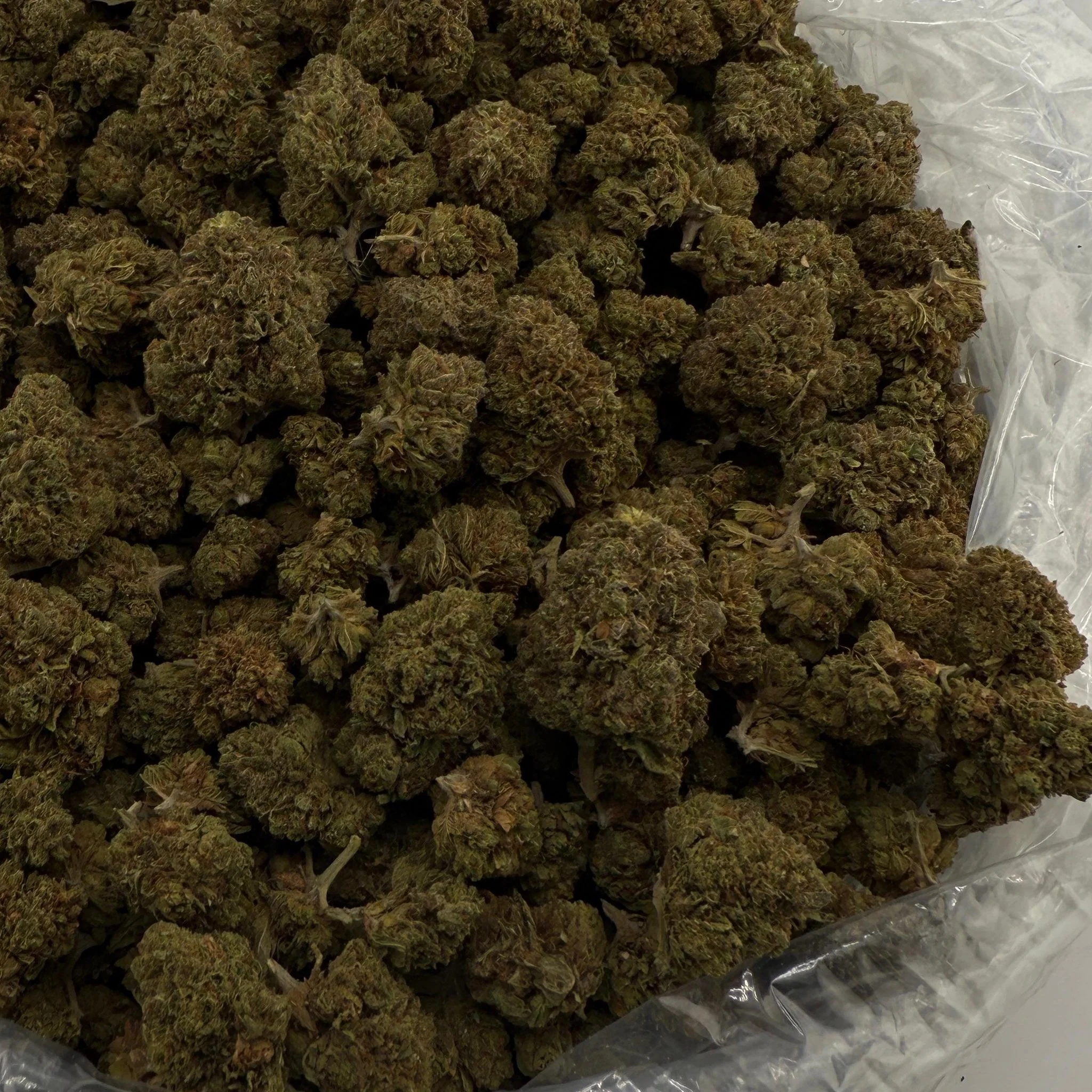 LCG (Light-Assisted) – Bulk THCA Flower 1 lb