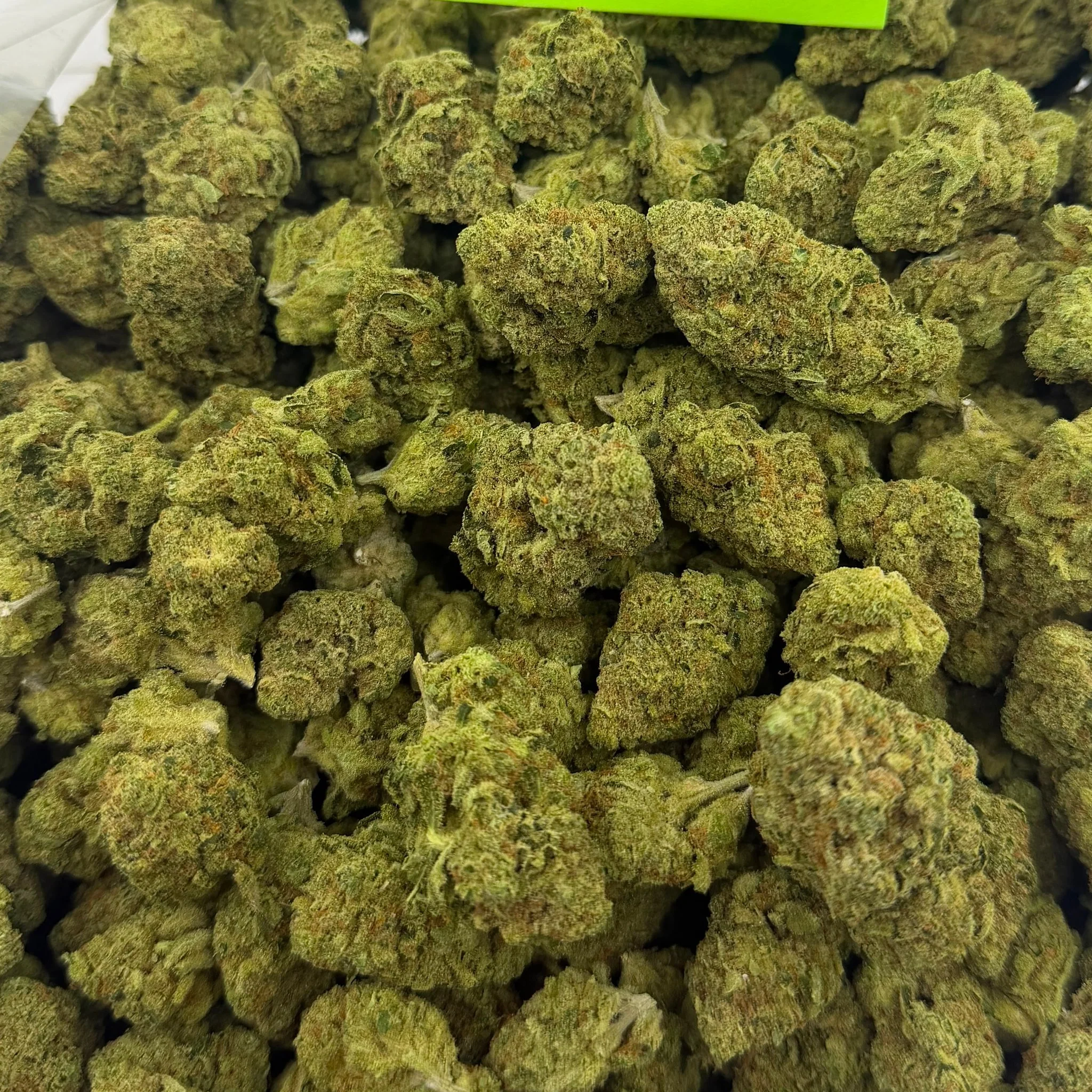 Lemon Freeze (Value Indoor) – Bulk THCA Flower 1 lb