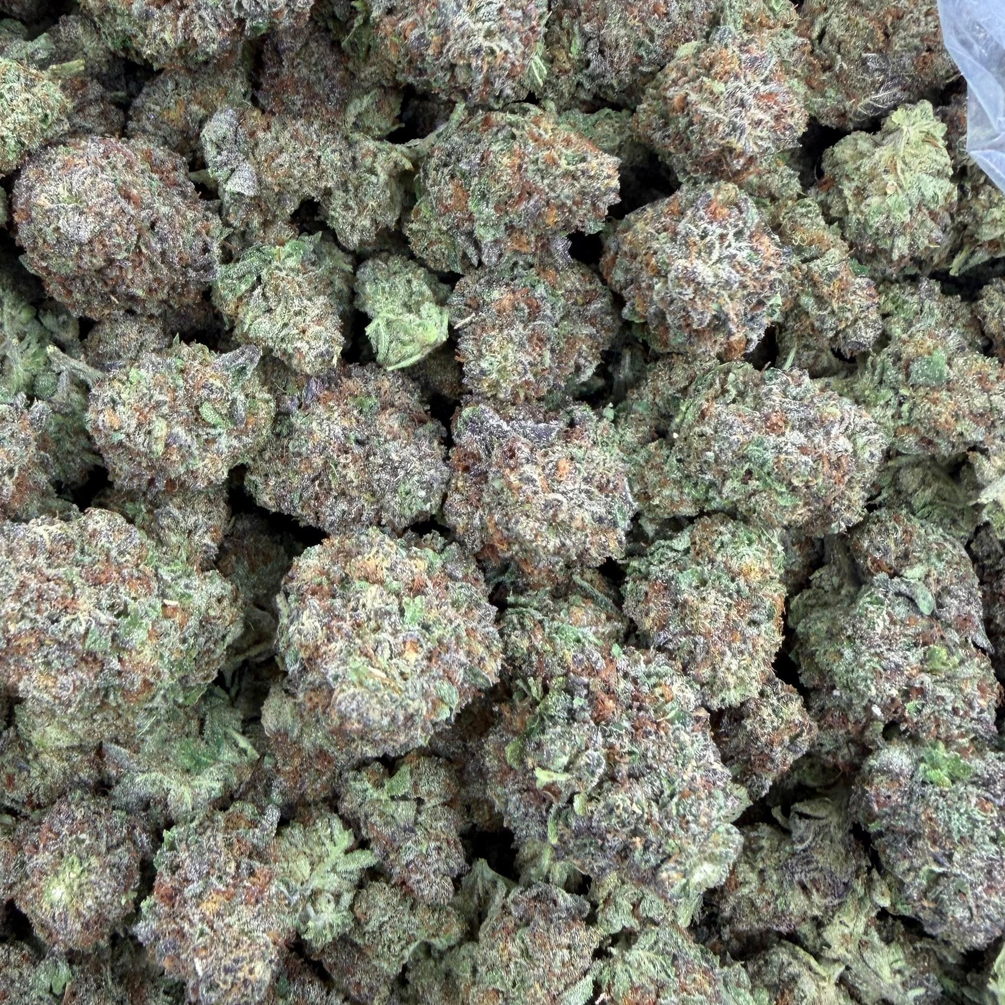 Mimosa (Light-Assisted) – Bulk THCA Flower 1 lb