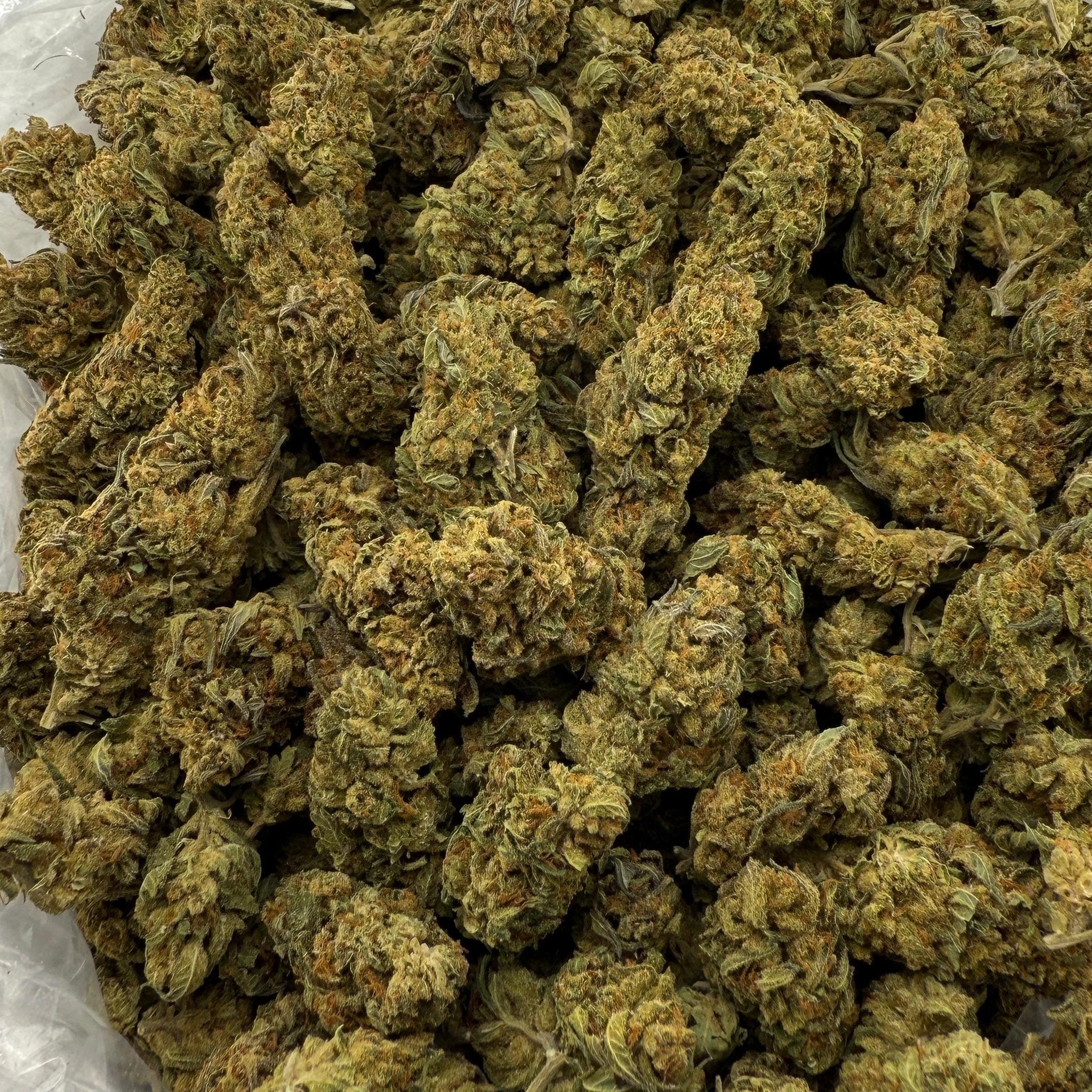 Papaya Punch (Light-Assisted) – Bulk THCA Flower 1 lb