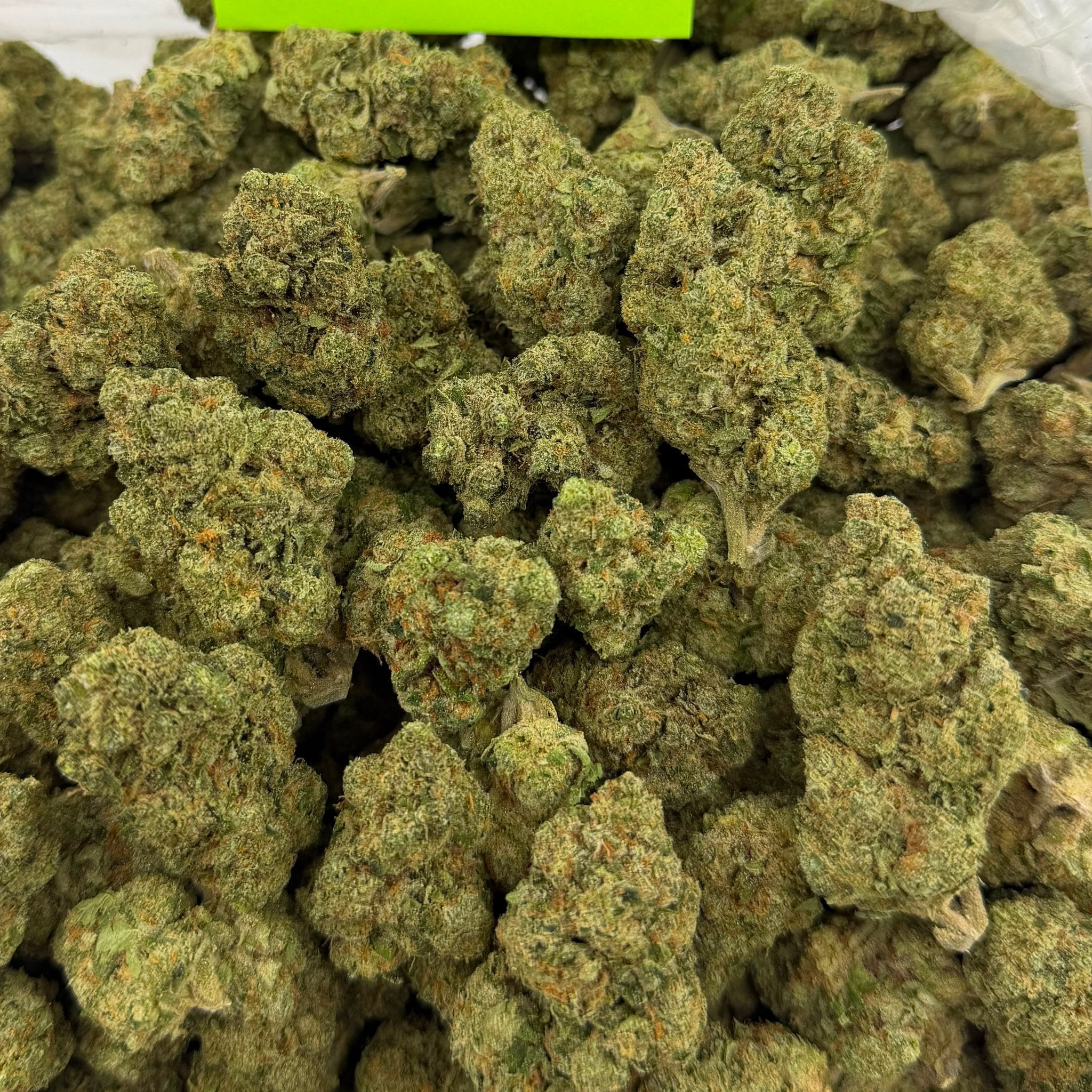 Pipe Dream (Value Indoor) – Bulk THCA Flower 1 lb