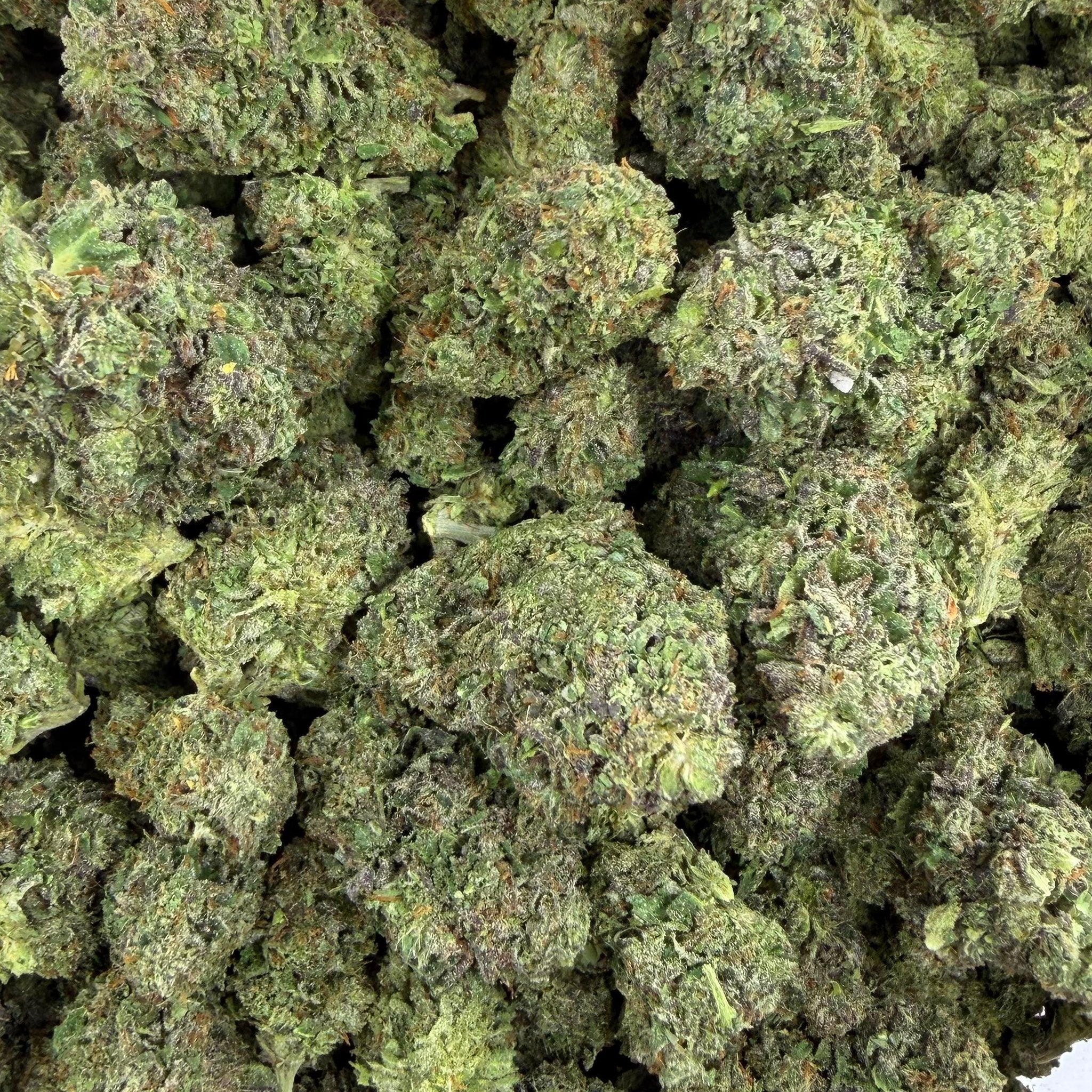Purple Nebula (Light-Assisted) – Bulk THCA Flower 1 lb