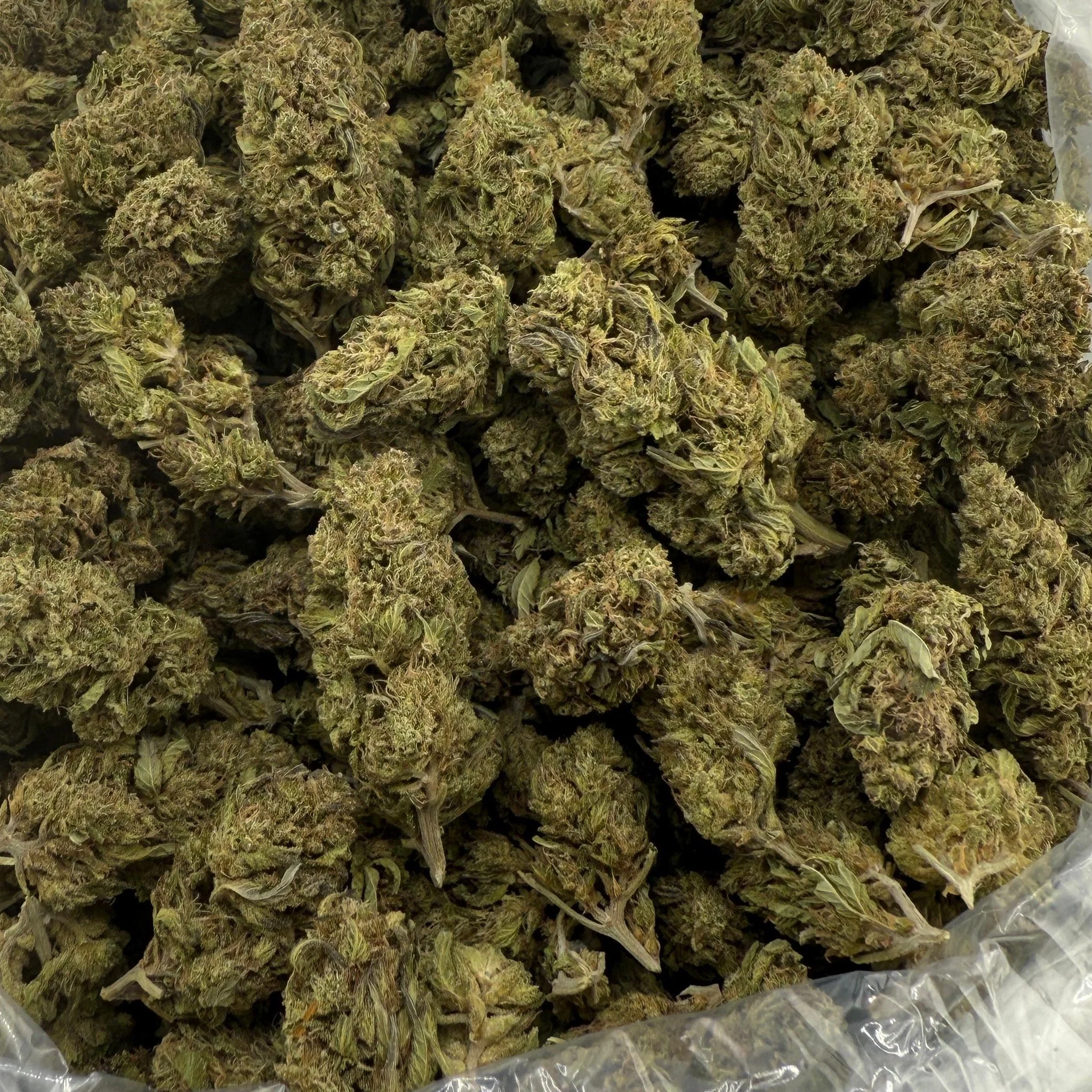 Purple Pie (Light-Assisted) – Bulk THCA Flower 1 lb