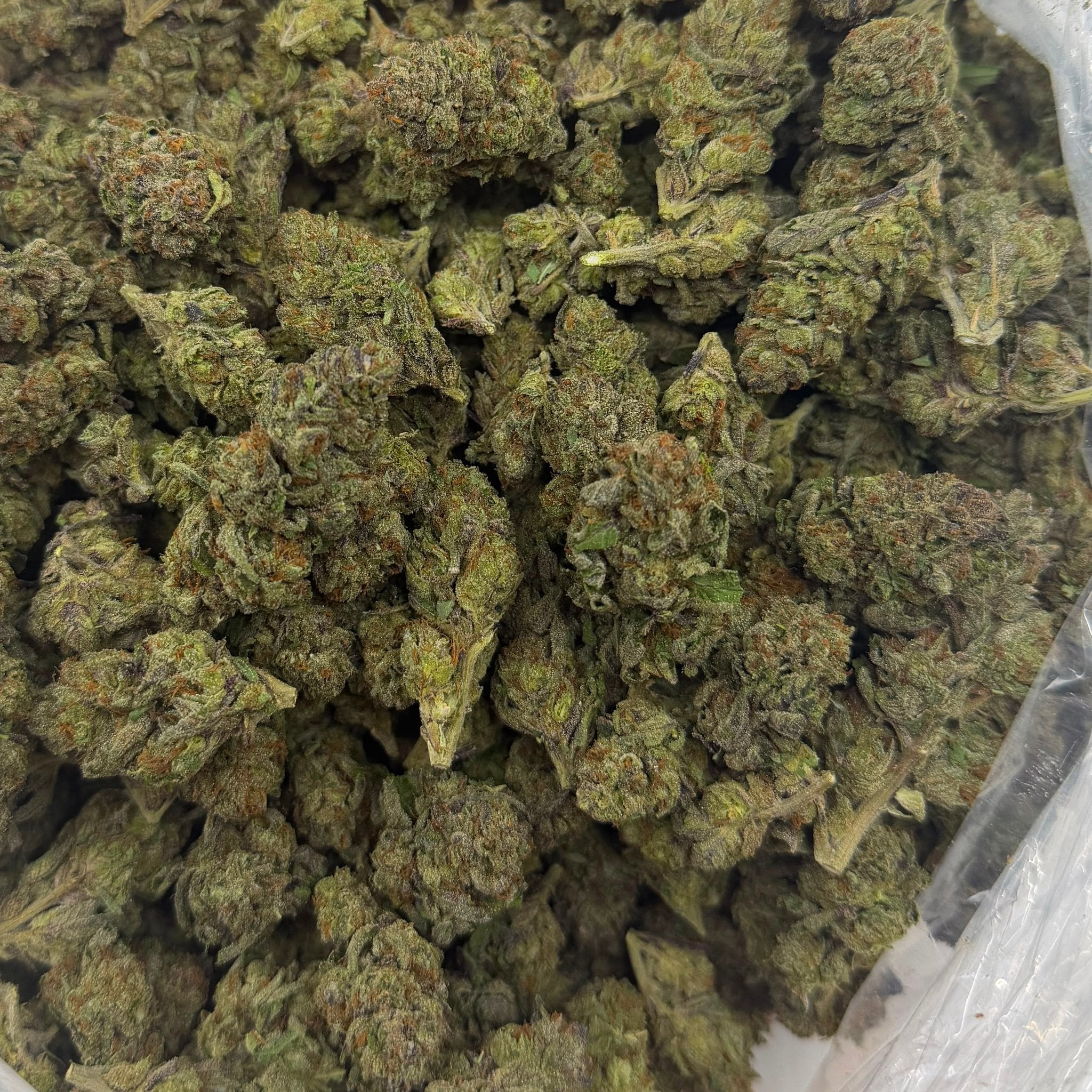 Rainbow Runtz (Light-Assisted) – Bulk THCA Flower 1 lb