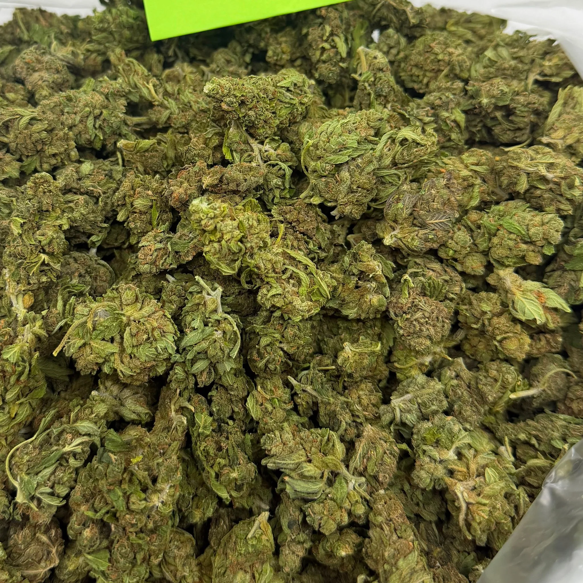 Rock Candy (Light-Assisted) – Bulk THCA Flower 1 lb