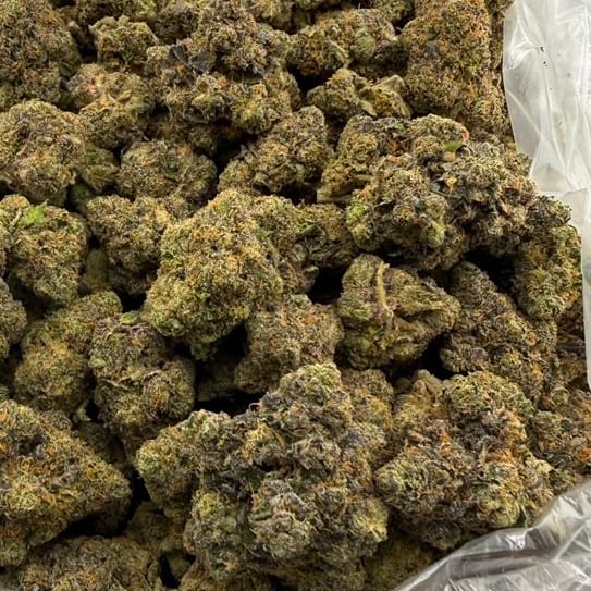 Scotch & Soda (Indoor) – Bulk THCA Flower 1 lb