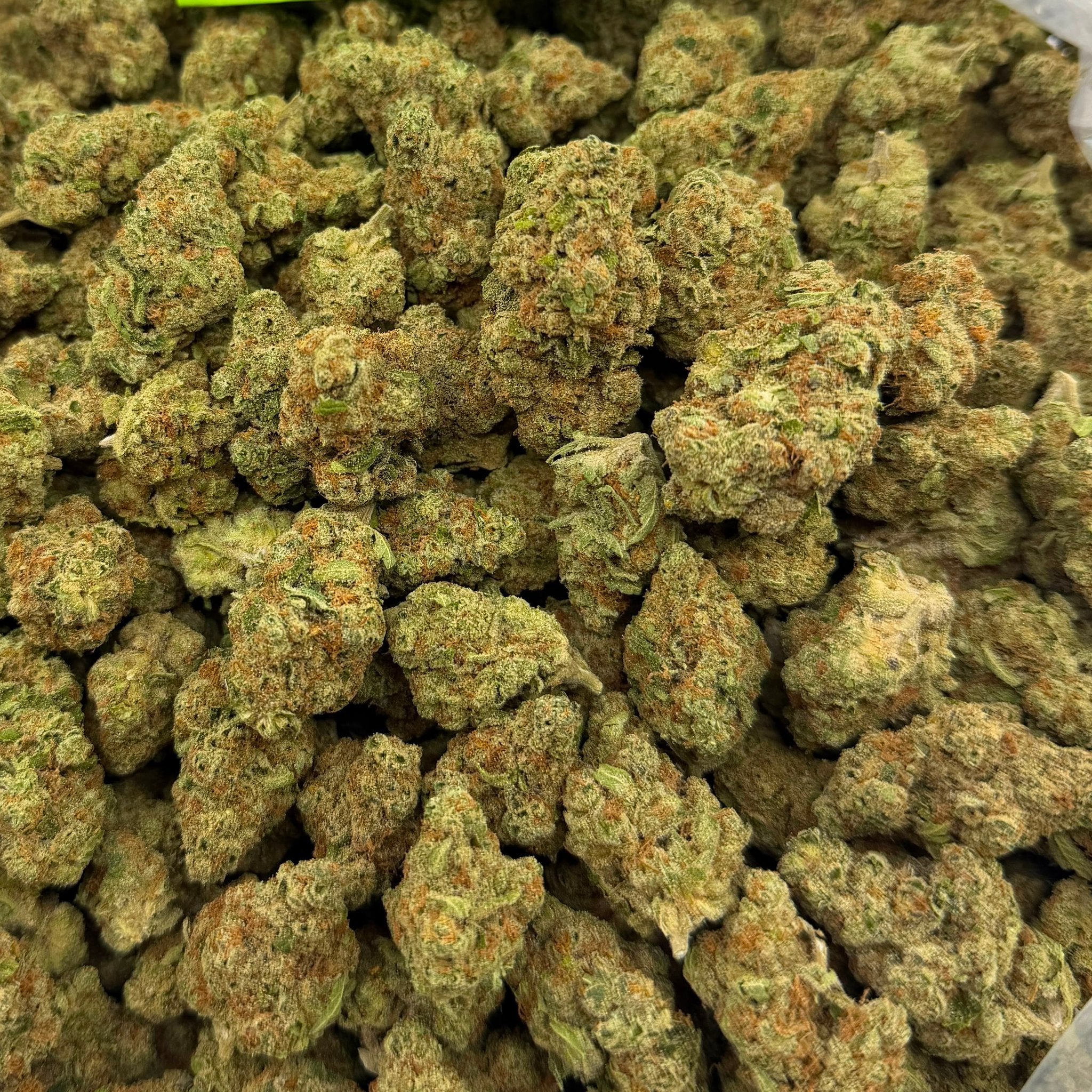 Sour Warheads (Value Indoor) – Bulk THCA Flower 1 lb