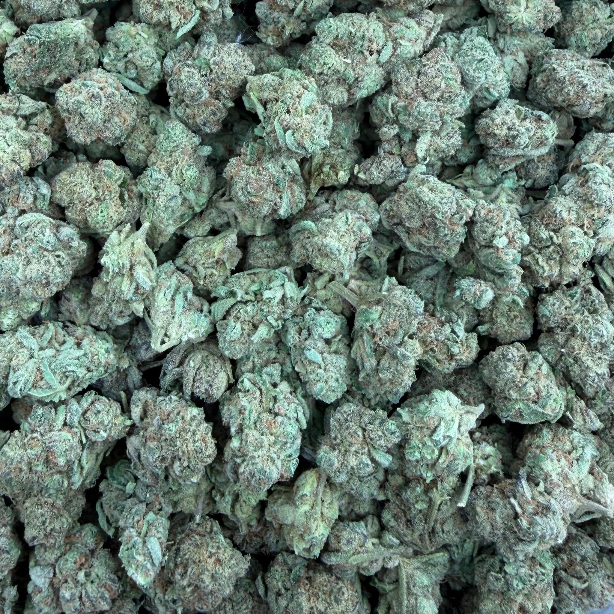 Space Cake (Value Indoor Medium Buds) – Bulk THCA Flower 1 lb
