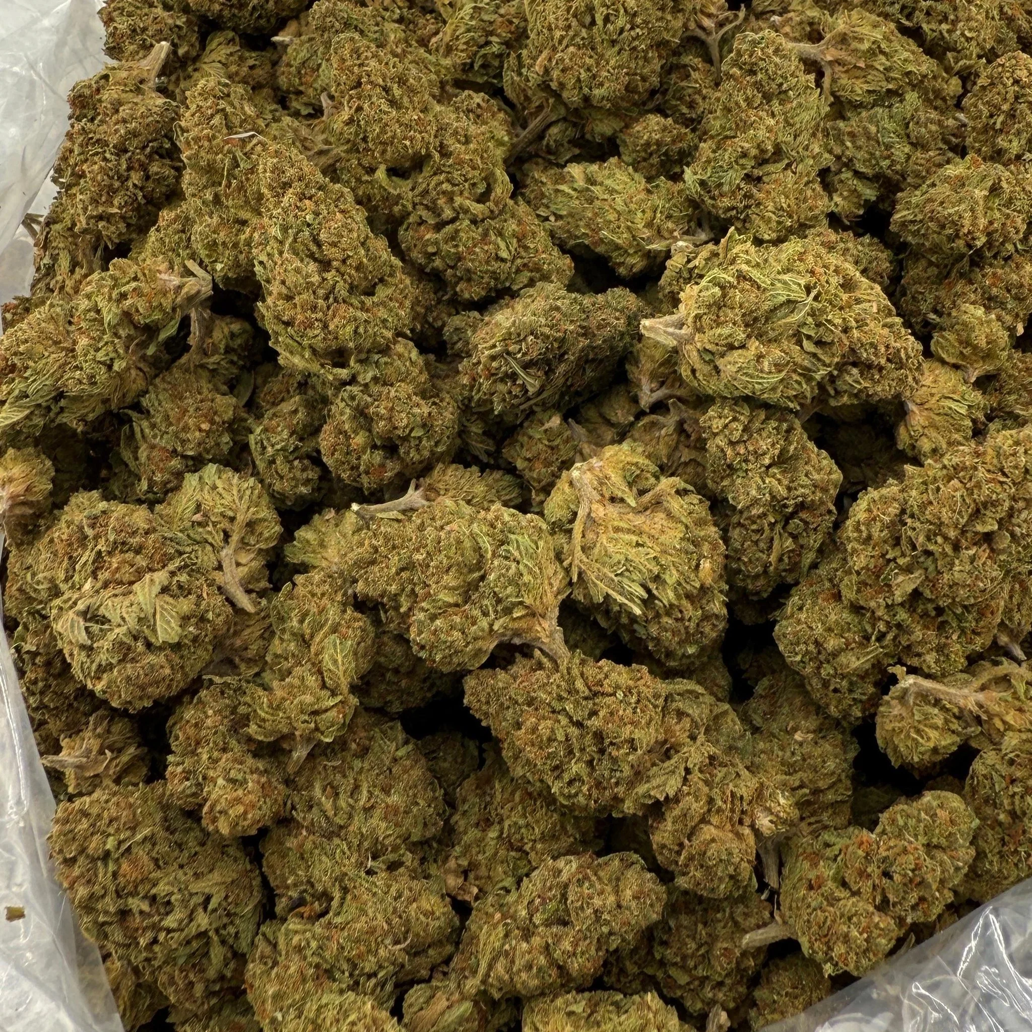 Sunset Sherbert (Light-Assisted) – Bulk THCA Flower 1 lb
