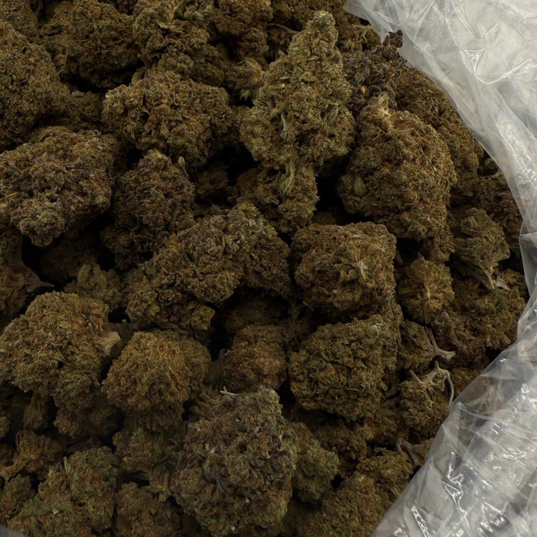 Unicorn Glitter (Light-Assisted) – Bulk THCA Flower 1 lb