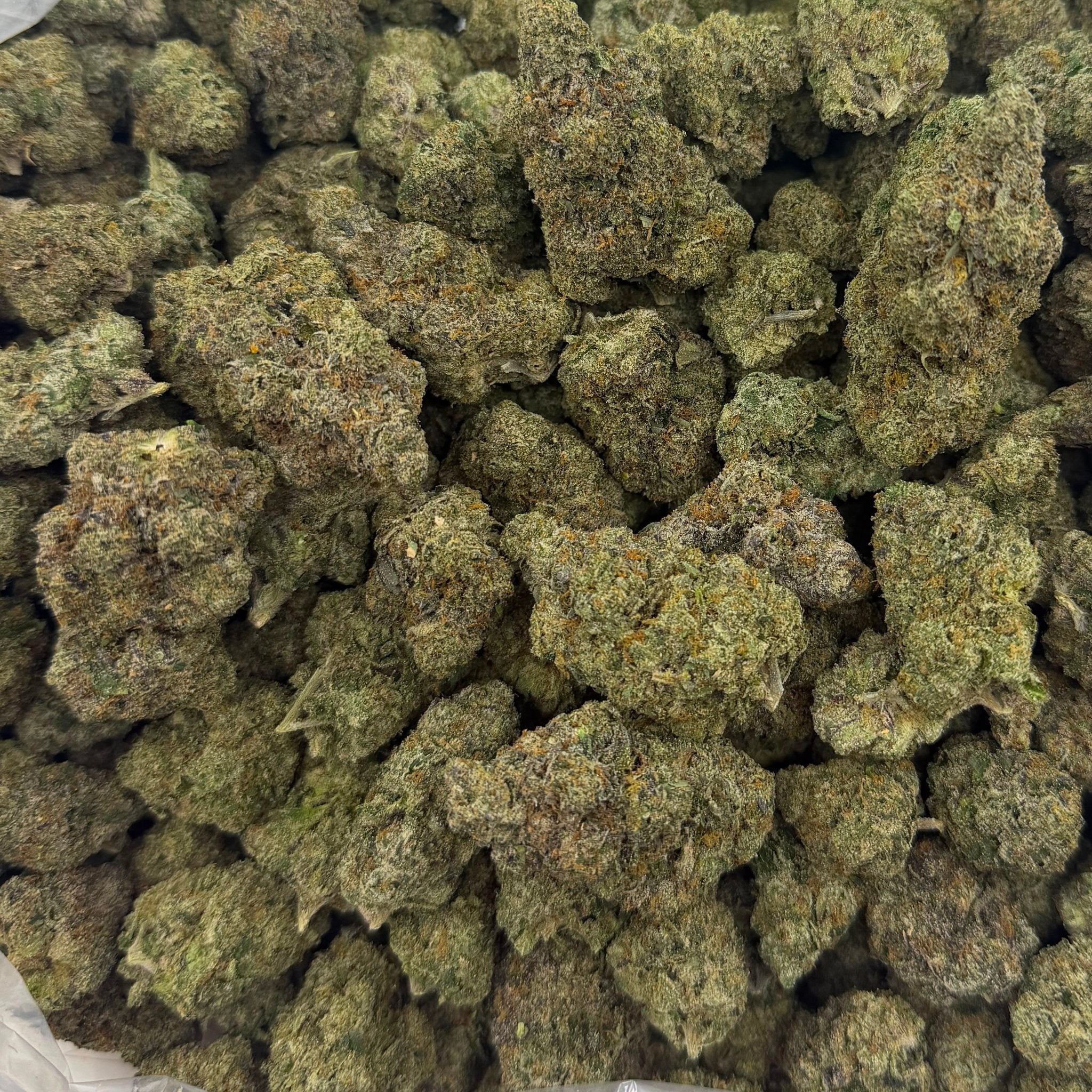 Zangria (Boutique Exotic) – Bulk THCA Flower 1 lb