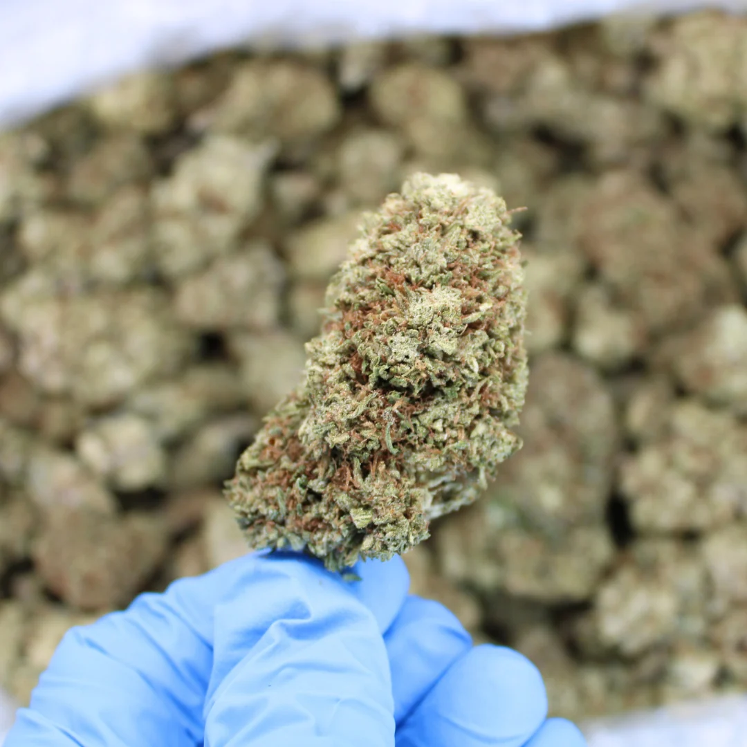 White CBG Hemp Flower - Image 3