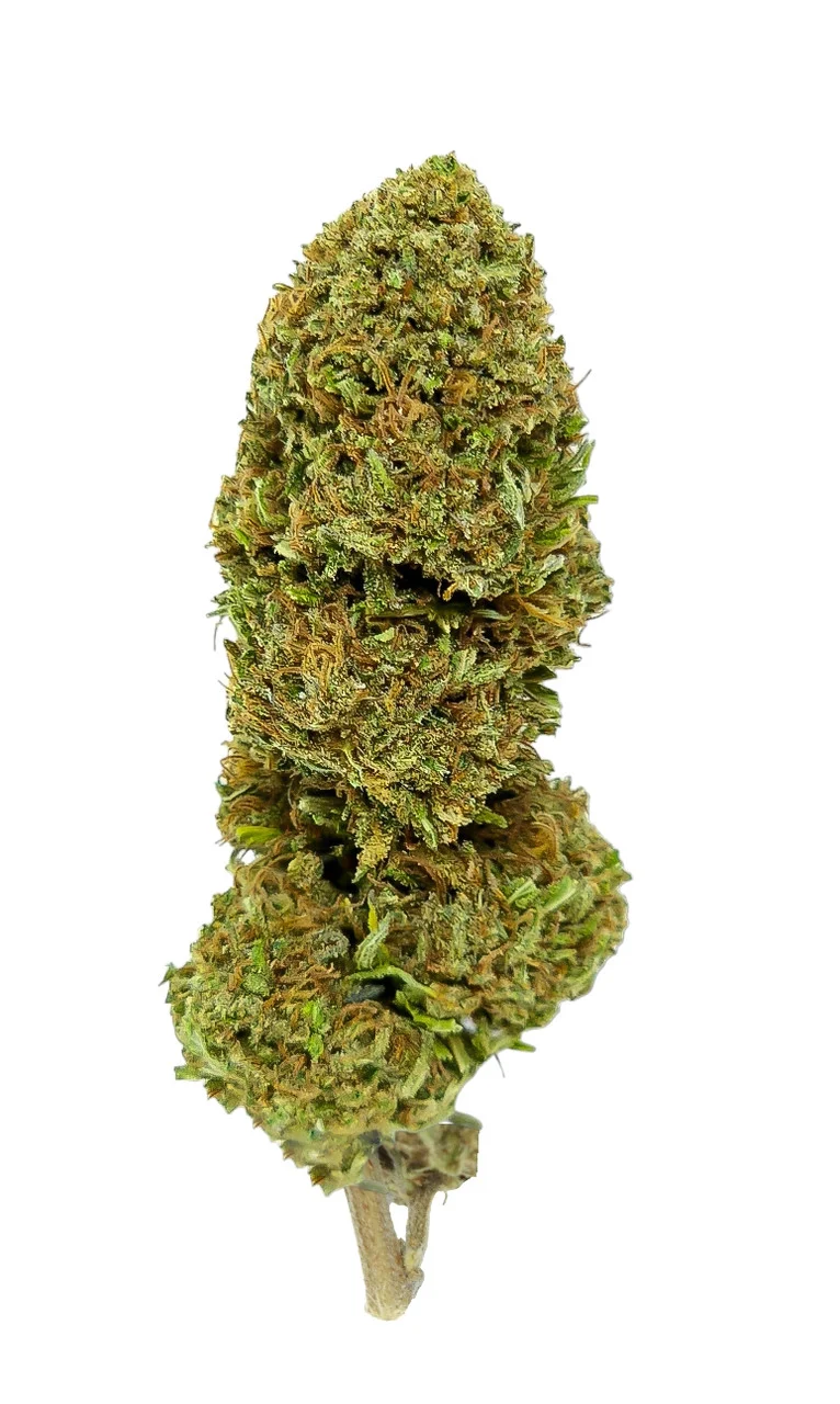 Critical Berries CBD Flower - Image 4