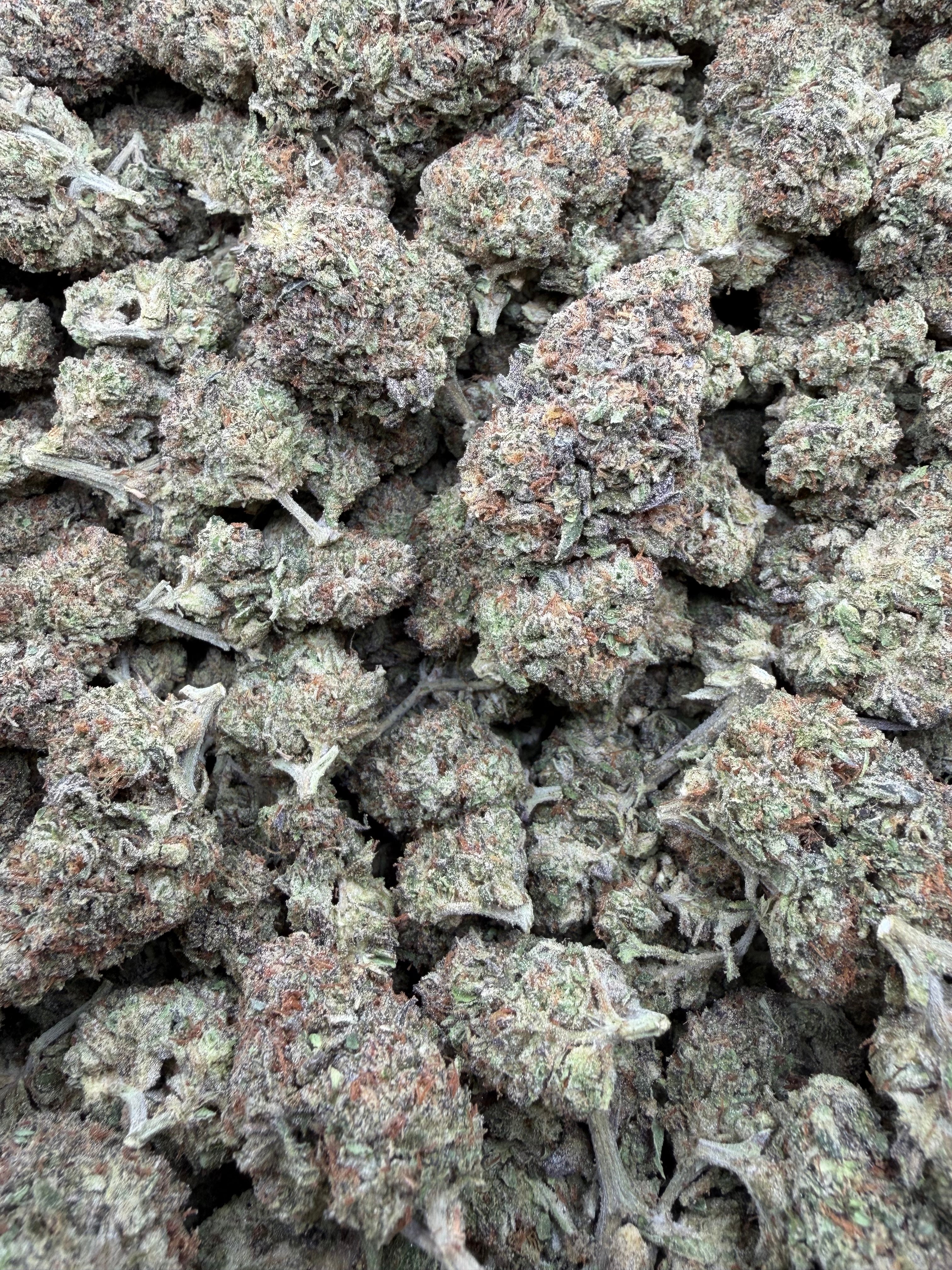 Grape Soda (Light Assist) - THCA Flower