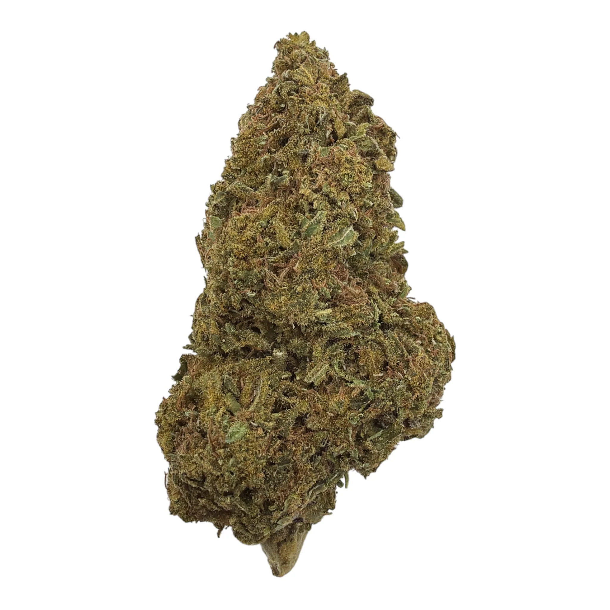 Head Band (Greenhouse) - THCA Flower