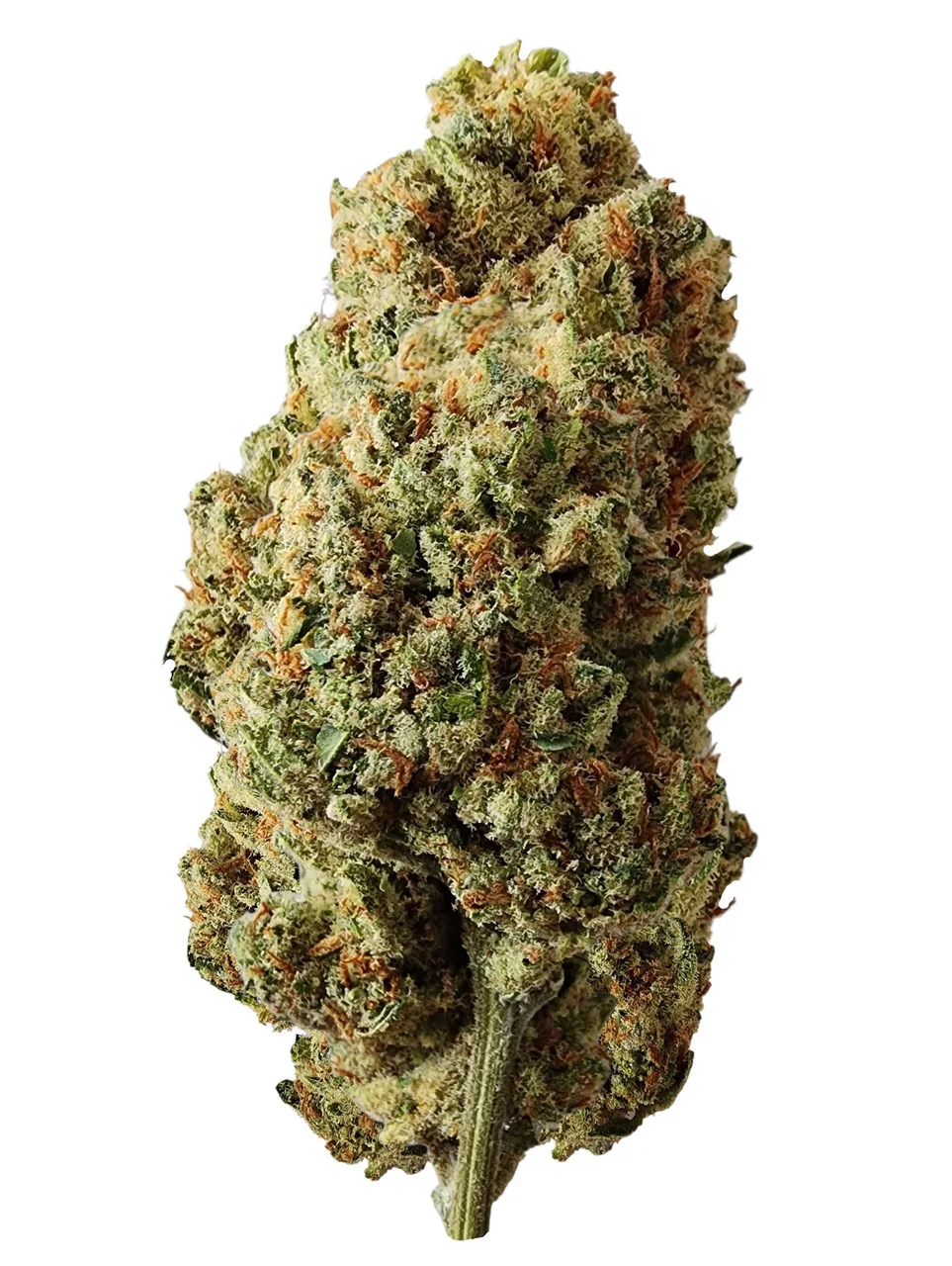 Lazy OG Greenhouse CBD Flower