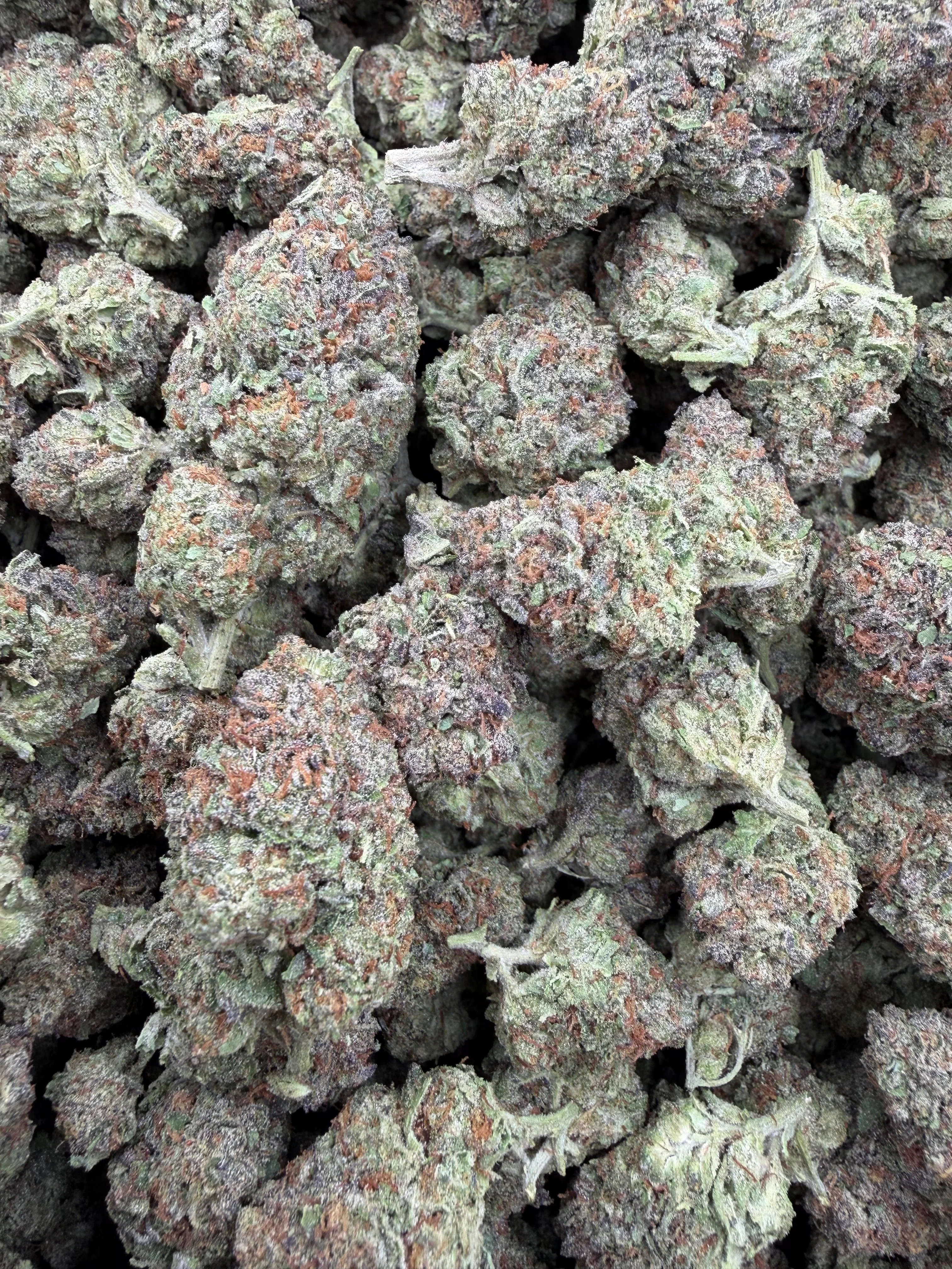 Mimosa (Light Assist) - THCA Flower - Image 2