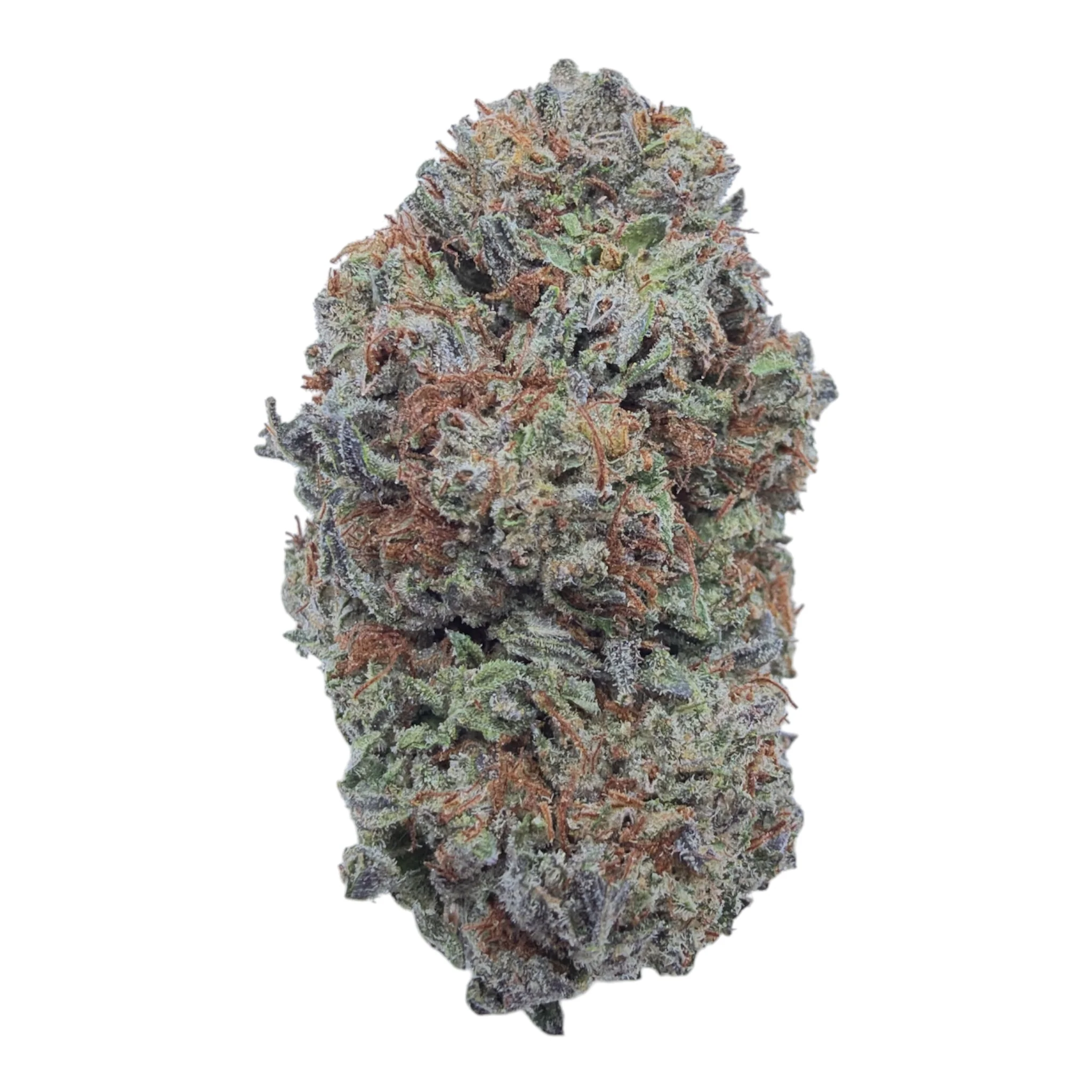 Oreoz (Light Assist) - THCA Flower