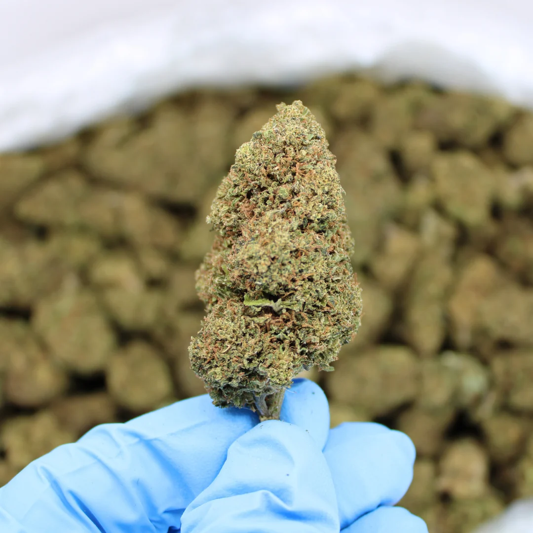 Royal OG CBD Flower - Image 3