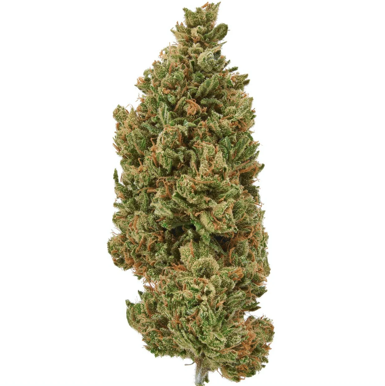 Sour Lifter CBD Flower - Image 4
